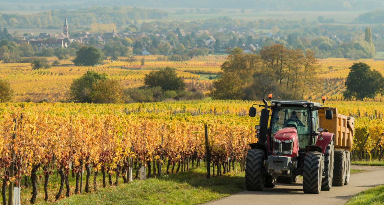 L'agriculture et les agriculteurs en France en 2024