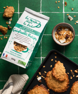 Recettes cookies avec granola cacahuètes raisins