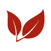 Picto 100% végétal - sirop d'érable biologique